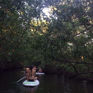 Meet your Posher, Clarissa